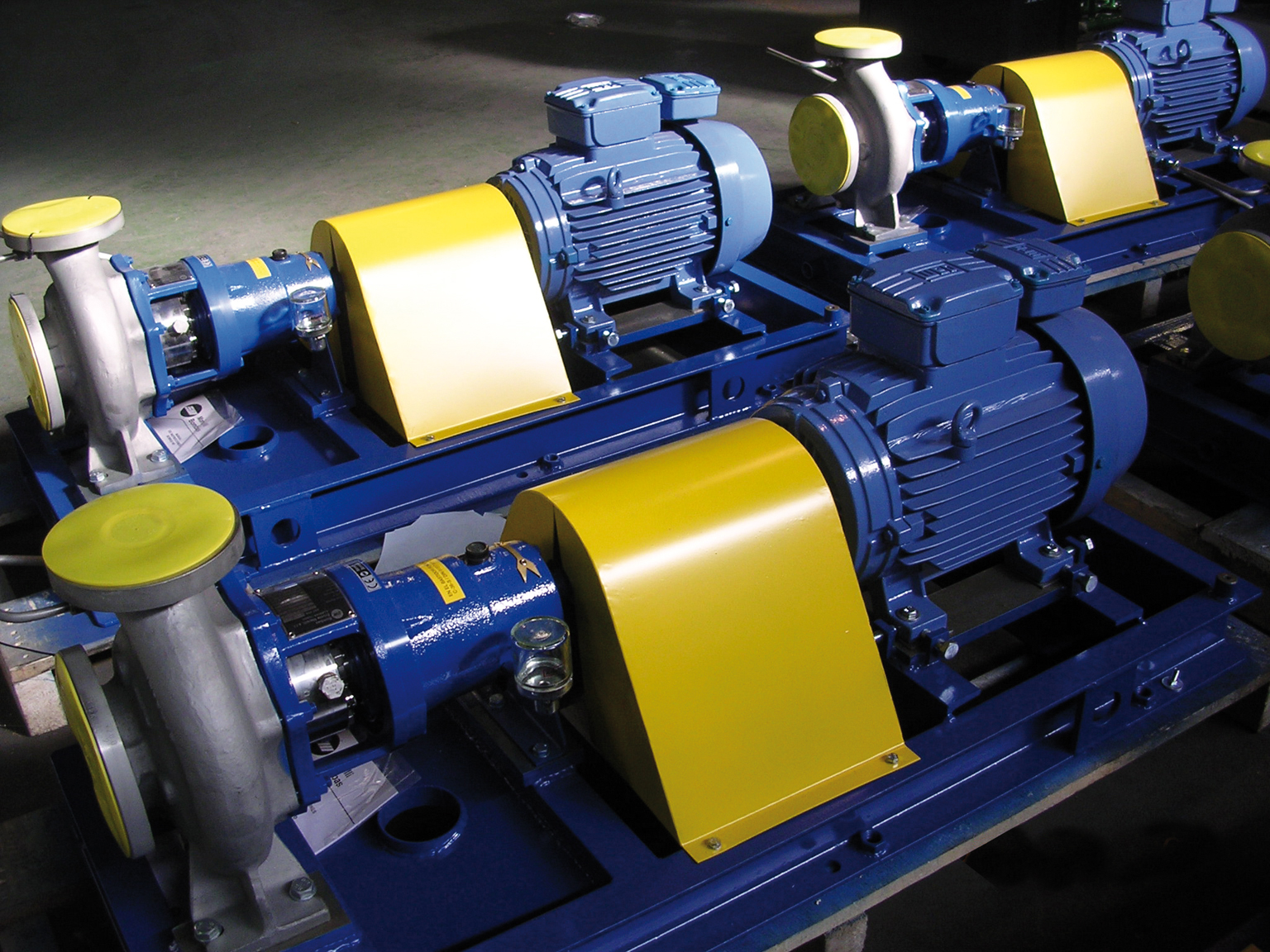 Multiple pump assembly 