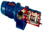 Twin and triplex rotary screw positive displacement pumps.